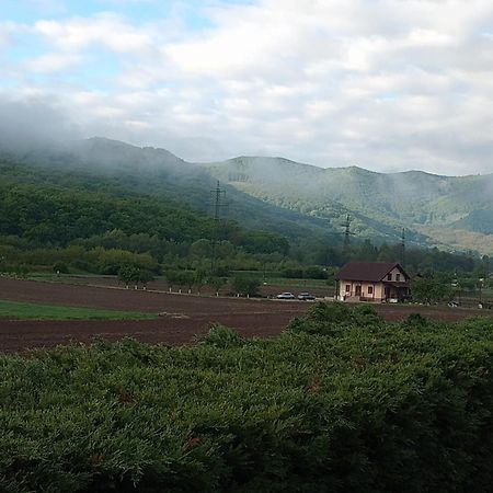 Vila Gosen Sard Экстерьер фото
