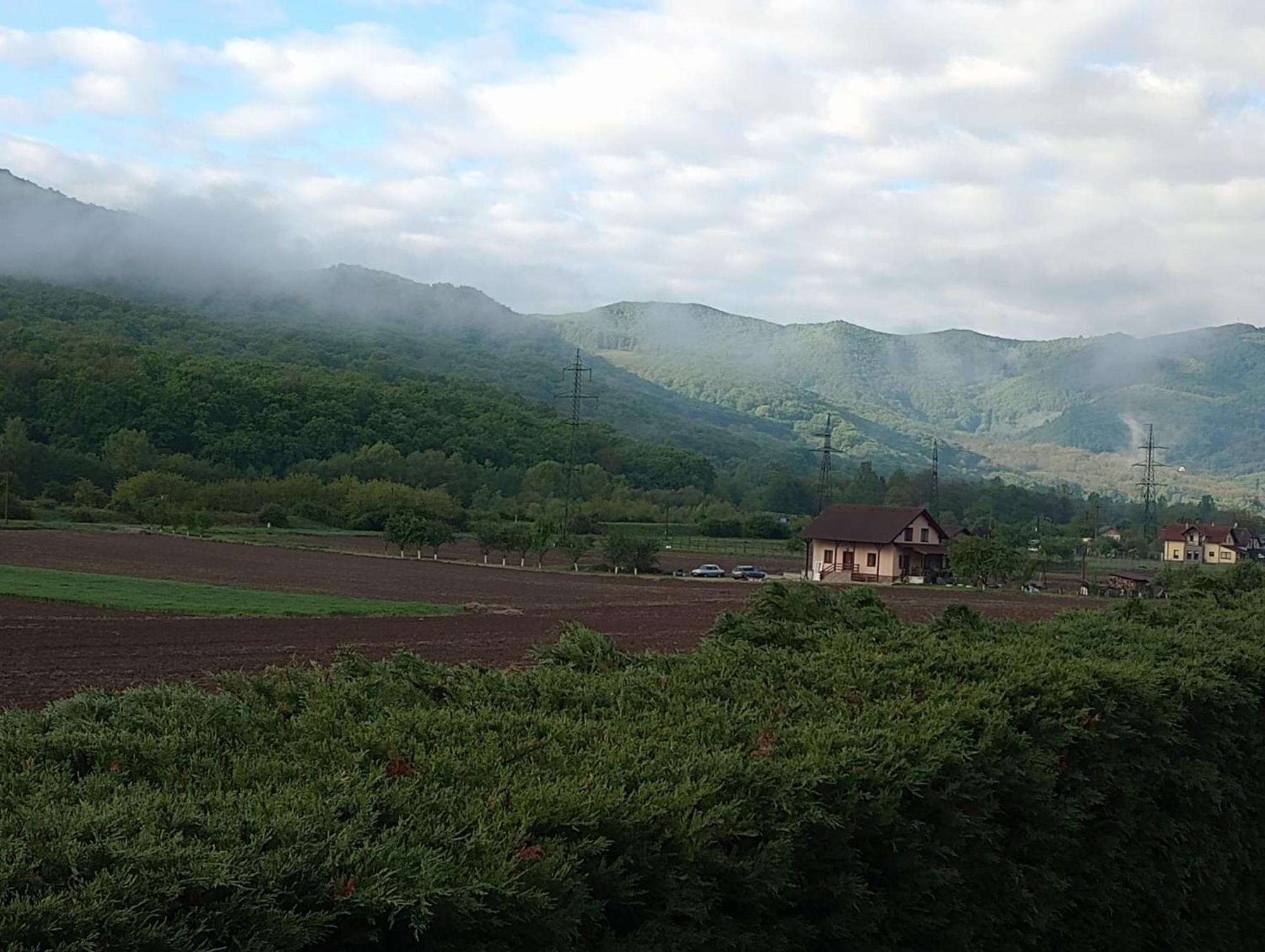 Vila Gosen Sard Экстерьер фото